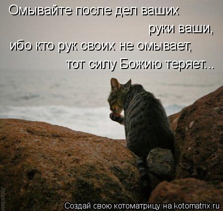 Омывайте после дел ваших руки ваши, ибо кто рук своих не омывает, тот силу Божию теряет...... Котоматрица: Омывайте после дел ваших руки ваши, ибо кто рук своих не омывает, тот силу Божию теряет...