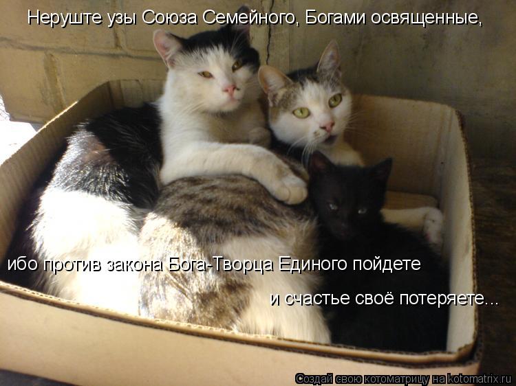 Неруште узы Союза Семейного, Богами освященные, ибо против закона Бога-Творца Единого пойдете и сча... Котоматрица: Неруште узы Союза Семейного, Богами освященные, ибо против закона Бога-Творца Единого пойдете и счастье своё потеряете...