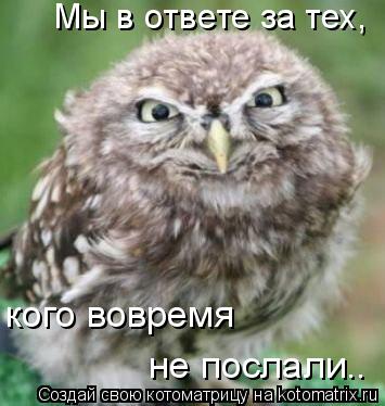 кого вовремя не послали.. Мы в ответе за тех,... Котоматрица: кого вовремя не послали.. Мы в ответе за тех,