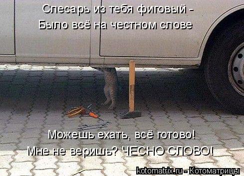 Слесарь из тебя фиговый - Было всё на честном слове Можешь ехать, всё готово! Мне не веришь? ЧЕСНО С... Котоматрица: Слесарь из тебя фиговый - Было всё на честном слове Можешь ехать, всё готово! Мне не веришь? ЧЕСНО СЛОВО!