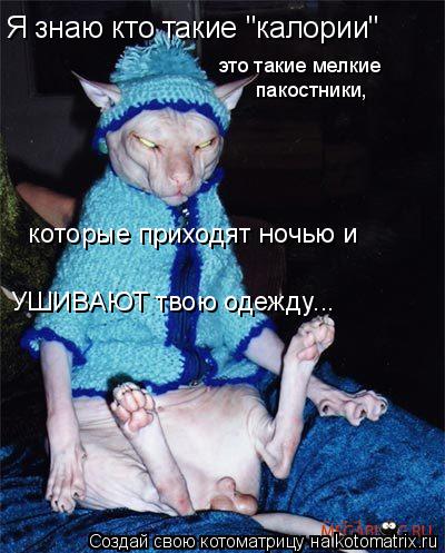 Я знаю кто такие "калории" это такие мелкие пакостники, которые приходят ночью и УШИВАЮТ твою одежд... Котоматрица: Я знаю кто такие "калории" это такие мелкие пакостники, которые приходят ночью и УШИВАЮТ твою одежду...