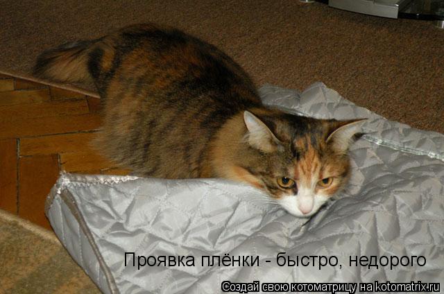 Проявка плёнки - быстро, недорого... Котоматрица: Проявка плёнки - быстро, недорого