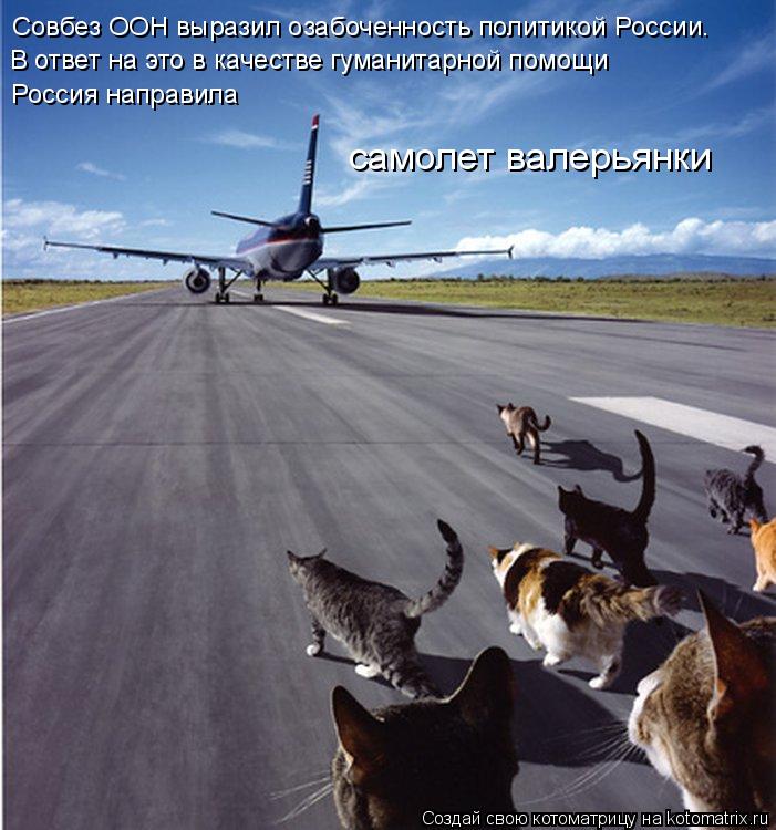Котоматрица: Совбез ООН выразил озабоченность политикой России. В ответ на это в качестве гуманитарной помощи Россия направила самолет валерьянки