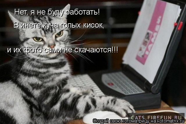 Нет, я не буду работать! В инете куча голых кисок, и их фото сами не скачаются!!!... Котоматрица: Нет, я не буду работать! В инете куча голых кисок, и их фото сами не скачаются!!!