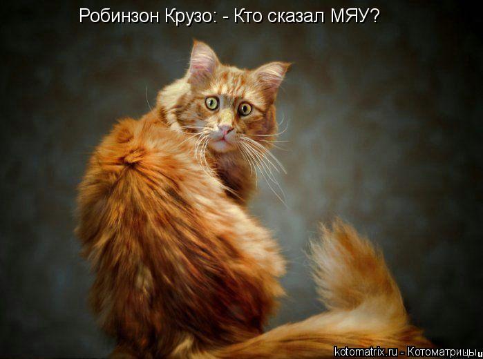 Робинзон Крузо: - Кто сказал МЯУ?... Котоматрица: Робинзон Крузо: - Кто сказал МЯУ?