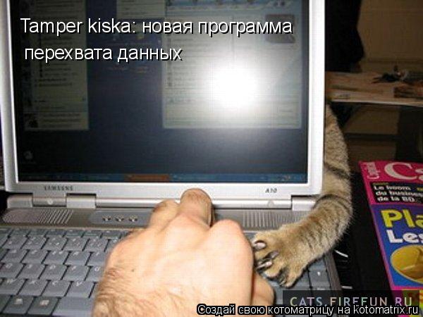 Котоматрица: Tamper kiska: новая программа перехвата данных