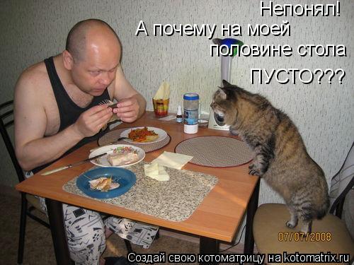 Непонял! А почему на моей половине стола ПУСТО???... Котоматрица: Непонял! А почему на моей половине стола ПУСТО???
