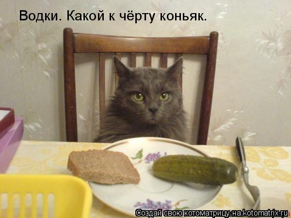 Водки. Какой к чёрту коньяк.... Котоматрица: Водки. Какой к чёрту коньяк.