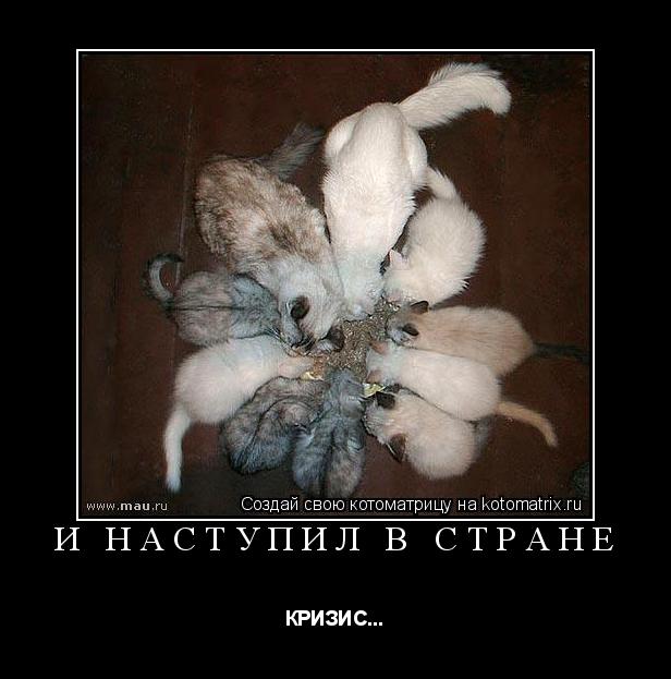 И наступил в стране КРИЗИС...... Котоматрица: И наступил в стране КРИЗИС...