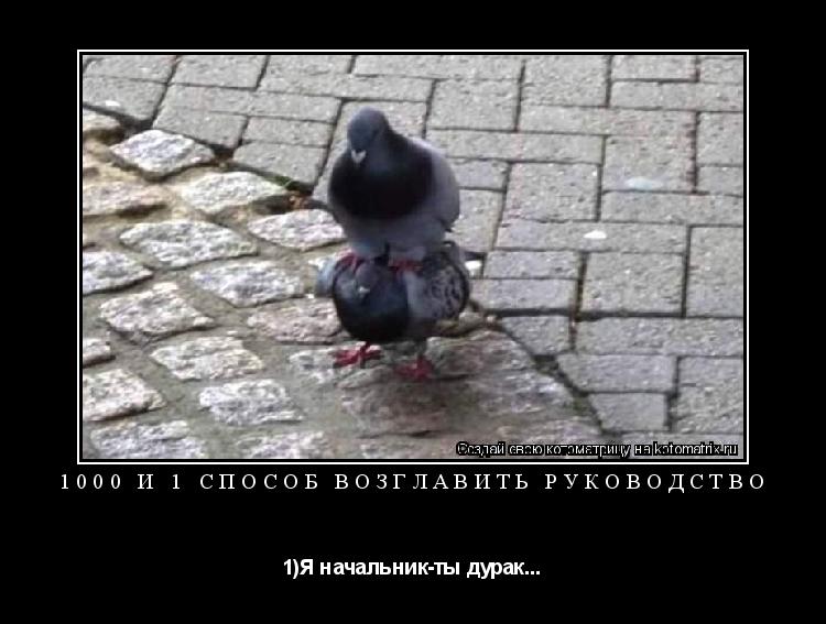 Котоматрица: 1000 И 1 СПОСОБ возглавить руководство 1)Я начальник-ты дурак...