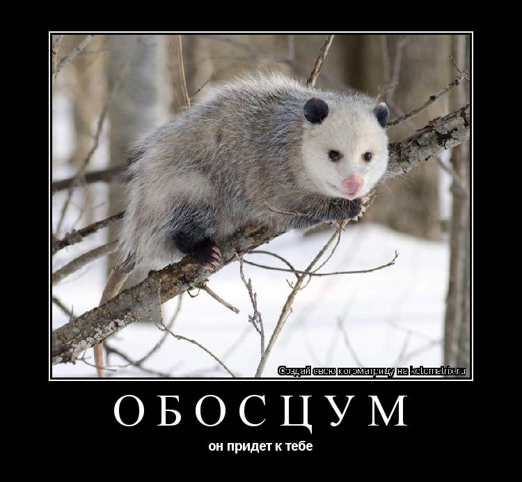 ОБОСЦУМ он придет к тебе... Котоматрица: ОБОСЦУМ он придет к тебе