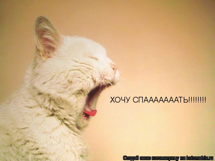 ХОЧУ СПАААААААТЬ!!!!!!!!... Котоматрица: ХОЧУ СПАААААААТЬ!!!!!!!!