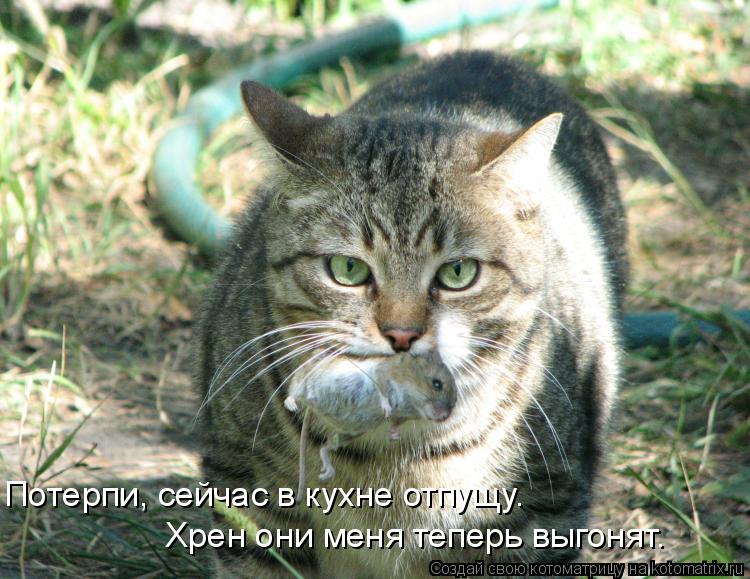Потерпи, сейчас в кухне отпущу. Хрен они меня теперь выгонят.... Котоматрица: Потерпи, сейчас в кухне отпущу. Хрен они меня теперь выгонят.