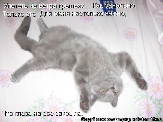 Улететь на ветра крыльях... Как банально. Только это Для меня настолько важно, Что глаза на все закр... Котоматрица: Улететь на ветра крыльях... Как банально. Только это Для меня настолько важно, Что глаза на все закрыла.