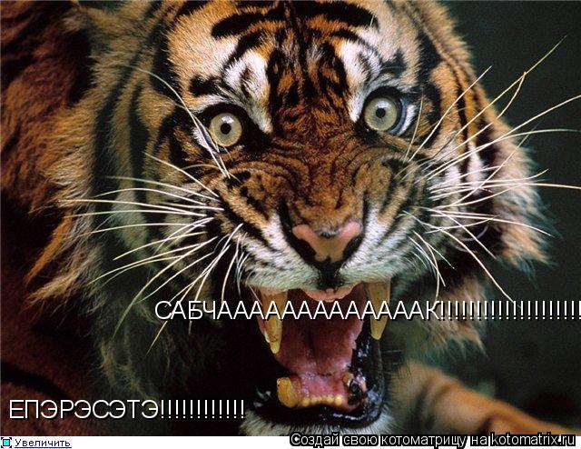 ЕПЭРЭСЭТЭ!!!!!!!!!!!! САБЧАААААААААААААК!!!!!!!!!!!!!!!!!!!!!... Котоматрица: ЕПЭРЭСЭТЭ!!!!!!!!!!!! САБЧАААААААААААААК!!!!!!!!!!!!!!!!!!!!!