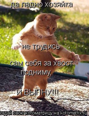 да ладно хозяйка не трудись сам себя за хвост подниму, И ВЫПНУ!!!... Котоматрица: да ладно хозяйка не трудись сам себя за хвост подниму, И ВЫПНУ!!!