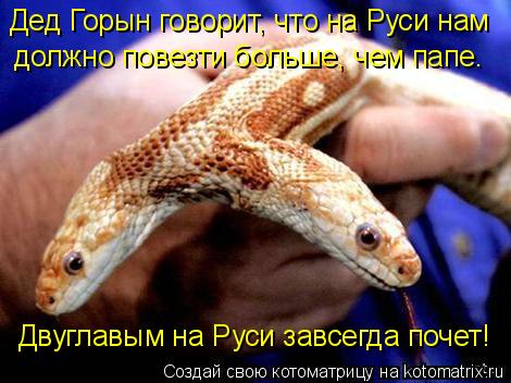 Котоматрица: Дед Горын говорит, что на Руси нам должно повезти больше, чем папе. Двуглавым на Руси завсегда почет!