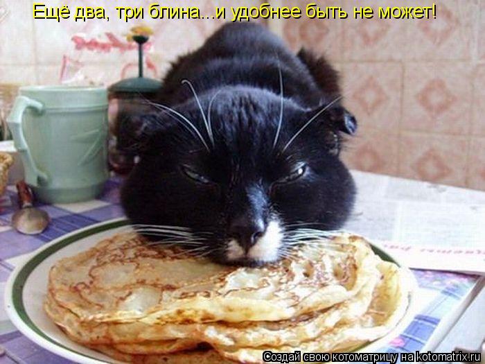 Котоматрица: Ещё два, три блина...и удобнее быть не может!