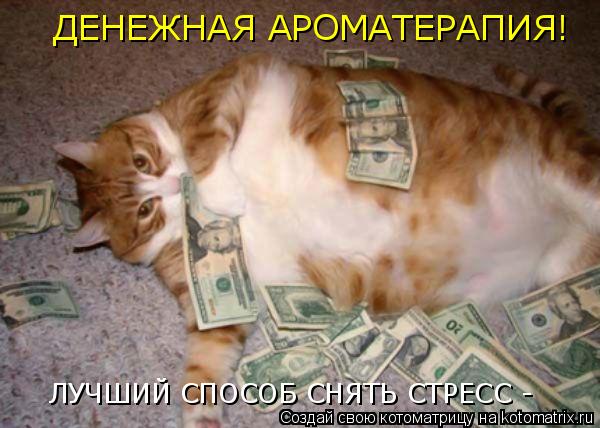 Котоматрица: ЛУЧШИЙ СПОСОБ СНЯТЬ СТРЕСС -  ДЕНЕЖНАЯ АРОМАТЕРАПИЯ!