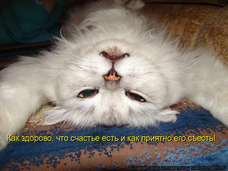 Котоматрица: Как здорово, что счастье есть и как приятно его съесть!