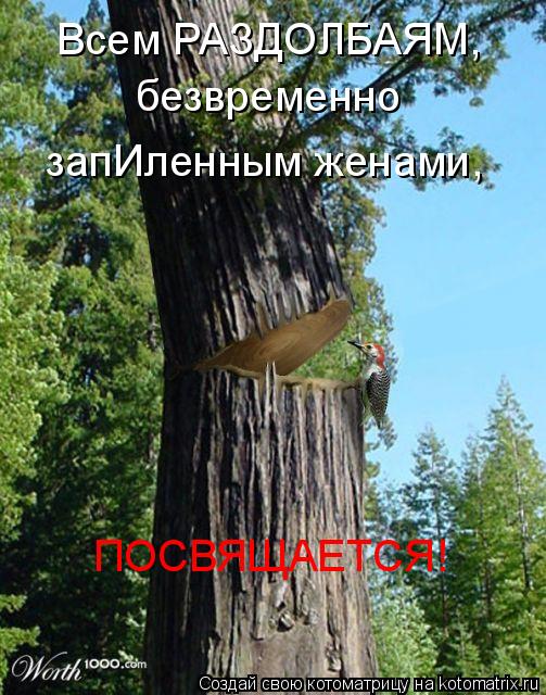Всем РАЗДОЛБАЯМ, безвременно запИленным женами, ПОСВЯЩАЕТСЯ!... Котоматрица: Всем РАЗДОЛБАЯМ, безвременно запИленным женами, ПОСВЯЩАЕТСЯ!