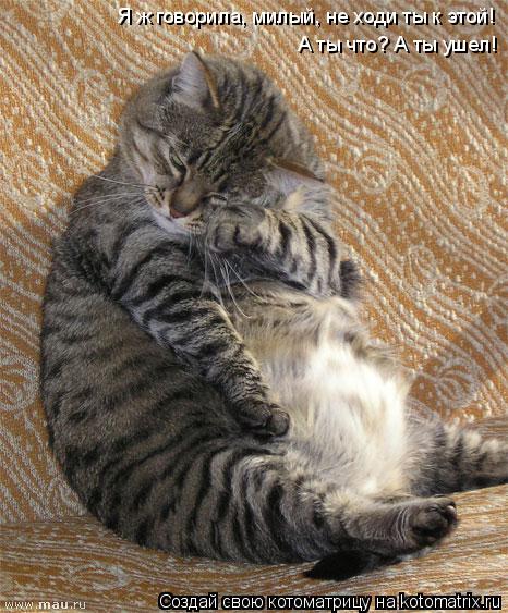 Котоматрица: Я ж говорила, милый, не ходи ты к этой!  А ты что? А ты ушел!