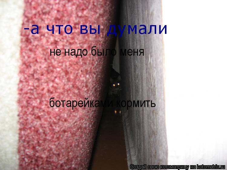Котоматрица: -а что вы думали  не надо было меня   ботарейками кормить