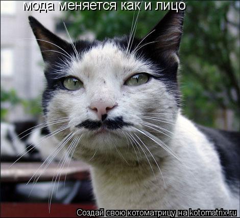 Котоматрица: мода меняется как и лицо