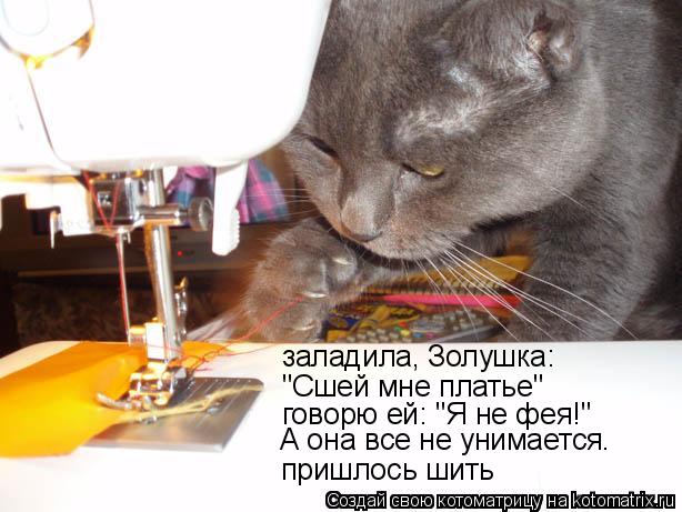 заладила, Золушка: "Сшей мне платье" говорю ей: "Я не фея!" пришлось шить А она все не унимается.... Котоматрица: заладила, Золушка: "Сшей мне платье" говорю ей: "Я не фея!" пришлось шить А она все не унимается.