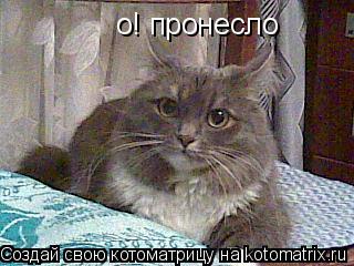 о! пронесло... Котоматрица: о! пронесло