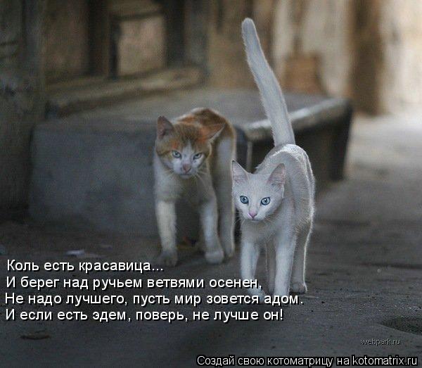 Коль есть красавица... И берег над ручьем ветвями осенен, Не надо лучшего, пусть мир зовется адом. И ... Котоматрица: Коль есть красавица... И берег над ручьем ветвями осенен, Не надо лучшего, пусть мир зовется адом. И если есть эдем, поверь, не лучше он!