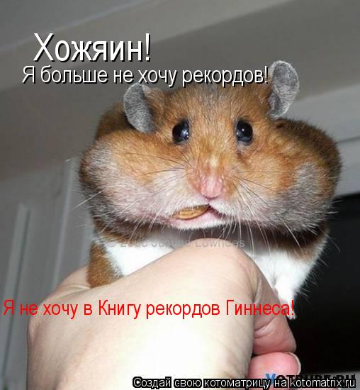 Хожяин! Я больше не хочу рекордов! Я не хочу в Книгу рекордов Гиннеса!... Котоматрица: Хожяин! Я больше не хочу рекордов! Я не хочу в Книгу рекордов Гиннеса!