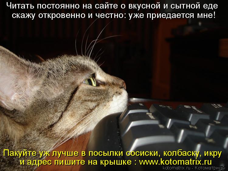 Читать постоянно на сайте о вкусной и сытной еде скажу откровенно и честно: уже приедается мне! Пакуй... Котоматрица: Читать постоянно на сайте о вкусной и сытной еде скажу откровенно и честно: уже приедается мне! Пакуйте уж лучше в посылки сосиски, колбаску