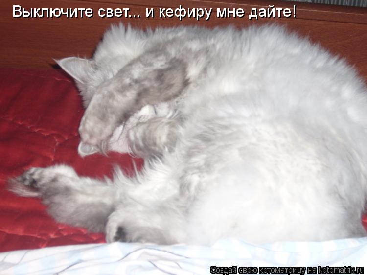 Выключите свет... и кефиру мне дайте!... Котоматрица: Выключите свет... и кефиру мне дайте!