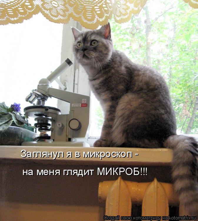 Котоматрица: Заглянул я в микроскоп - на меня глядит МИКРОБ!!!