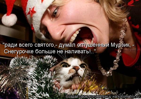 Котоматрица: "ради всего святого,- думал оглушённый Мурзик, - Снегурочке больше не наливать!.."