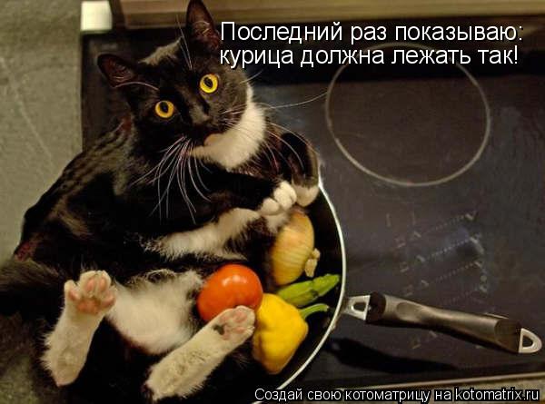 Последний раз показываю: курица должна лежать так!... Котоматрица: Последний раз показываю: курица должна лежать так!