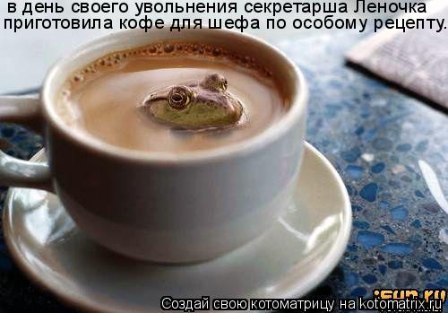 Котоматрица: в день своего увольнения секретарша Леночка приготовила кофе для шефа по особому рецепту..