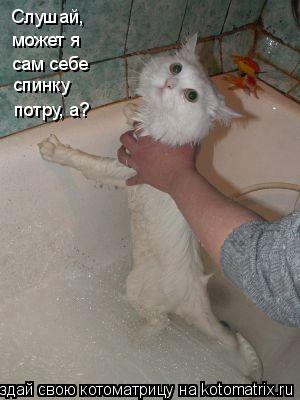 Котоматрица: Слушай, может я сам себе спинку потру, а?