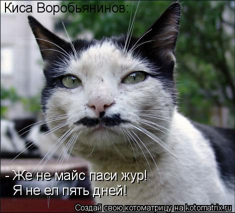 Котоматрица: Киса Воробьянинов:  - Же не майс паси жур!  Я не ел пять дней!