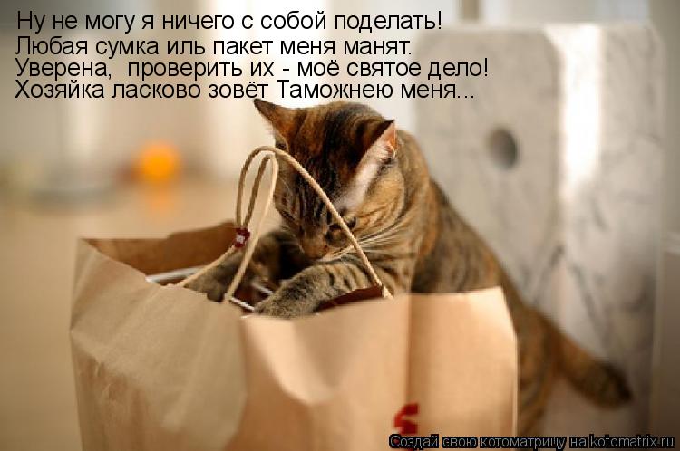 Котоматрица: Ну не могу я ничего с собой поделать! Любая сумка иль пакет меня манят. Уверена,  проверить их - моё святое дело! Хозяйка ласково зовёт Таможн
