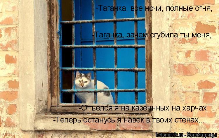 Котоматрица: -Таганка, все ночи, полные огня, -Таганка, зачем сгубила ты меня, -Отъелся я на казеннных на харчах -Теперь останусь я навек в твоих стенах...