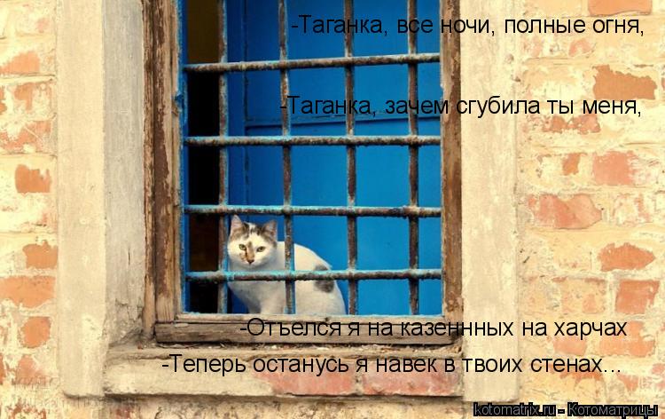 Котоматрица: -Таганка, все ночи, полные огня, -Таганка, зачем сгубила ты меня, -Отъелся я на казеннных на харчах -Теперь останусь я навек в твоих стенах...