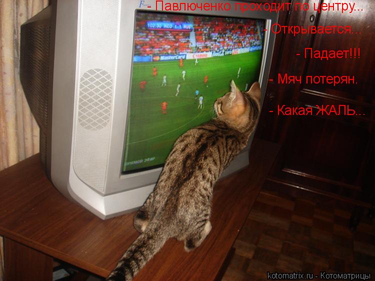 Котоматрица: - Павлюченко проходит по центру... - Открывается... - Падает!!! - Мяч потерян. - Какая ЖАЛЬ...