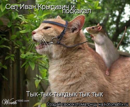 Сел Иван Крысивич и поскакал Тык-тык-тыкдык тык тык... Котоматрица: Сел Иван Крысивич и поскакал Тык-тык-тыкдык тык тык