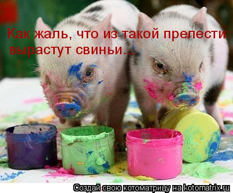 Как жаль, что из такой прелести вырастут свиньи...... Котоматрица: Как жаль, что из такой прелести вырастут свиньи...