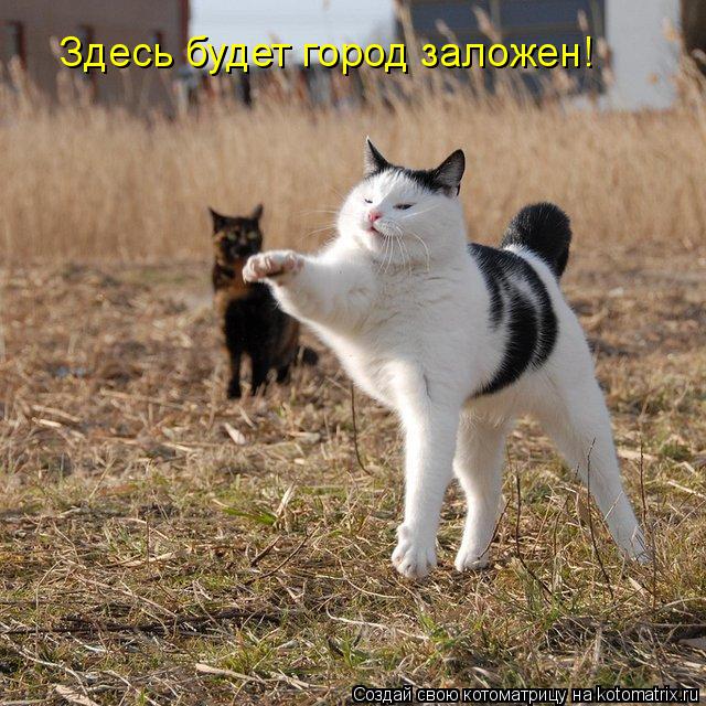 Здесь будет город заложен!... Котоматрица: Здесь будет город заложен!