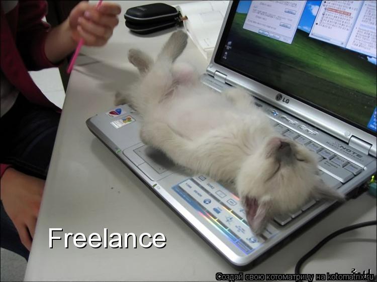 Freelance... Котоматрица: Freelance