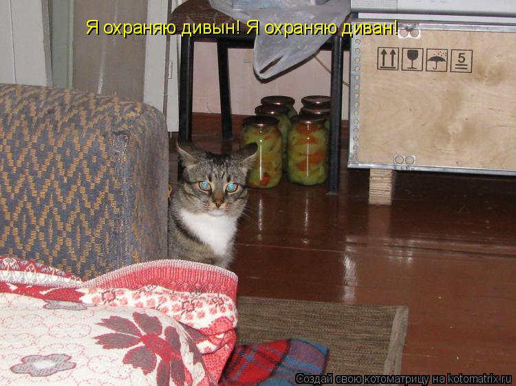 Я охраняю дивын! Я охраняю диван!... Котоматрица: Я охраняю дивын! Я охраняю диван!
