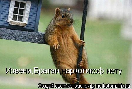 Извени,Братан,наркотикоф нету... Котоматрица: Извени,Братан,наркотикоф нету